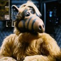 What happened to the actors of the series Alf the extraterrestrial